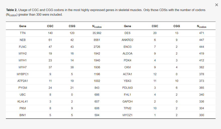 A CGC és CGG kódok használata a vázizomzatban leginkább expresszálódó génekben. Csak azokat a CDS-eket vettük figyelembe, amelyeknél a kodonok száma (Ncodon) meghaladta a 300-at.