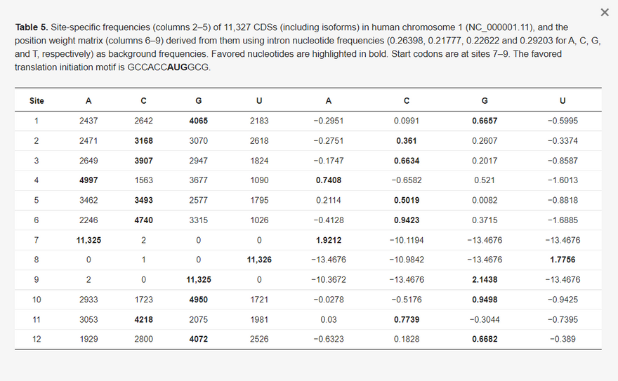 5. táblázat Az 1. kromoszóma (NC_000001.11) 11 327 CDS-ének (beleértve az izoformákat is) helyspecifikus gyakorisága (2-5. oszlop) és a belőlük levezetett pozíciósúlymátrix (6-9. oszlop) az intron nukleotidfrekvenciák (0,26398, 0,21777, 0,22622 és 0,29203 A, C, G és T esetében) mint háttérfrekvenciák felhasználásával. A kedvező nukleotidok félkövérrel vannak kiemelve. A startkódonok a 7-9. helyen találhatók. A preferált transzlációindítási motívum a GCCACCAUGGCG.