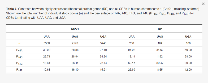 7. táblázat A magasan expresszált riboszómális fehérje gének (RP) és az 1. kromoszóma (Chr01, beleértve az izoformákat is) összes CDS-e közötti kontrasztok. Az UAA-val, UAGgal és UGA-val végződő CDS-ek esetében az egyedi stopkódonok teljes száma (n) és a +4A, +4C, +4G és +4U (P+4A, P+4C, P+4G és P+4U) százalékos aránya látható.